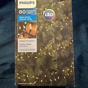 Philips 80ct LED Christmas Smooth Mini
Garland String Lights Warm White